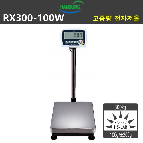 RX300-100W